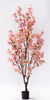 170cm Blossom