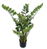 95cm Zamiifolia