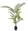 150cm Areca Palm