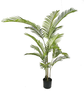 150cm Areca Palm