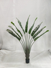 150cm M Banana Tree