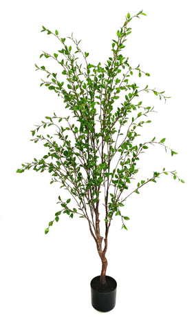 150cm Small Leaves Tree