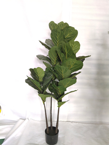 W180cm Fiddle Tree
