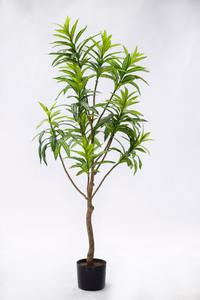 135cm Lily Bamboo