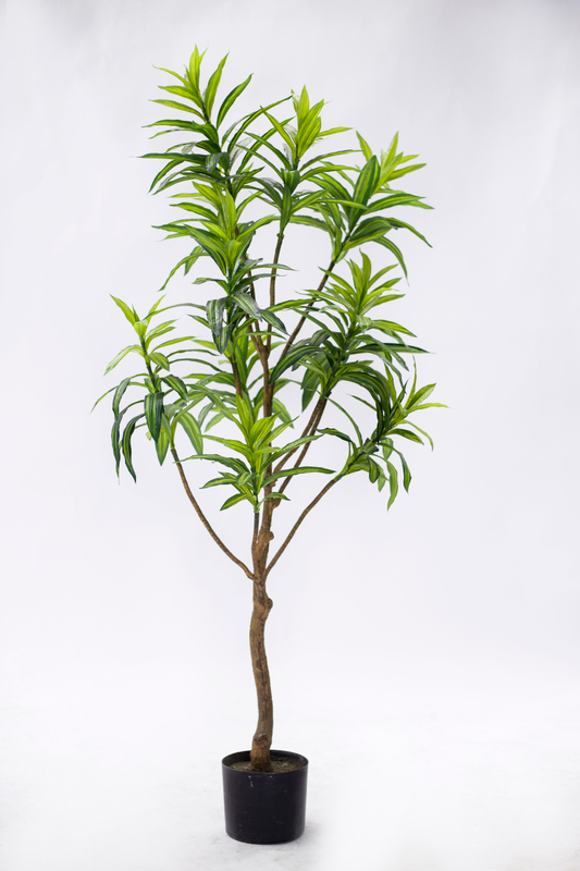 135cm Lily Bamboo