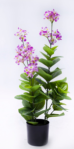 52cm Spring Blossom*Fls