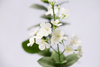 42cm Spring Blossom