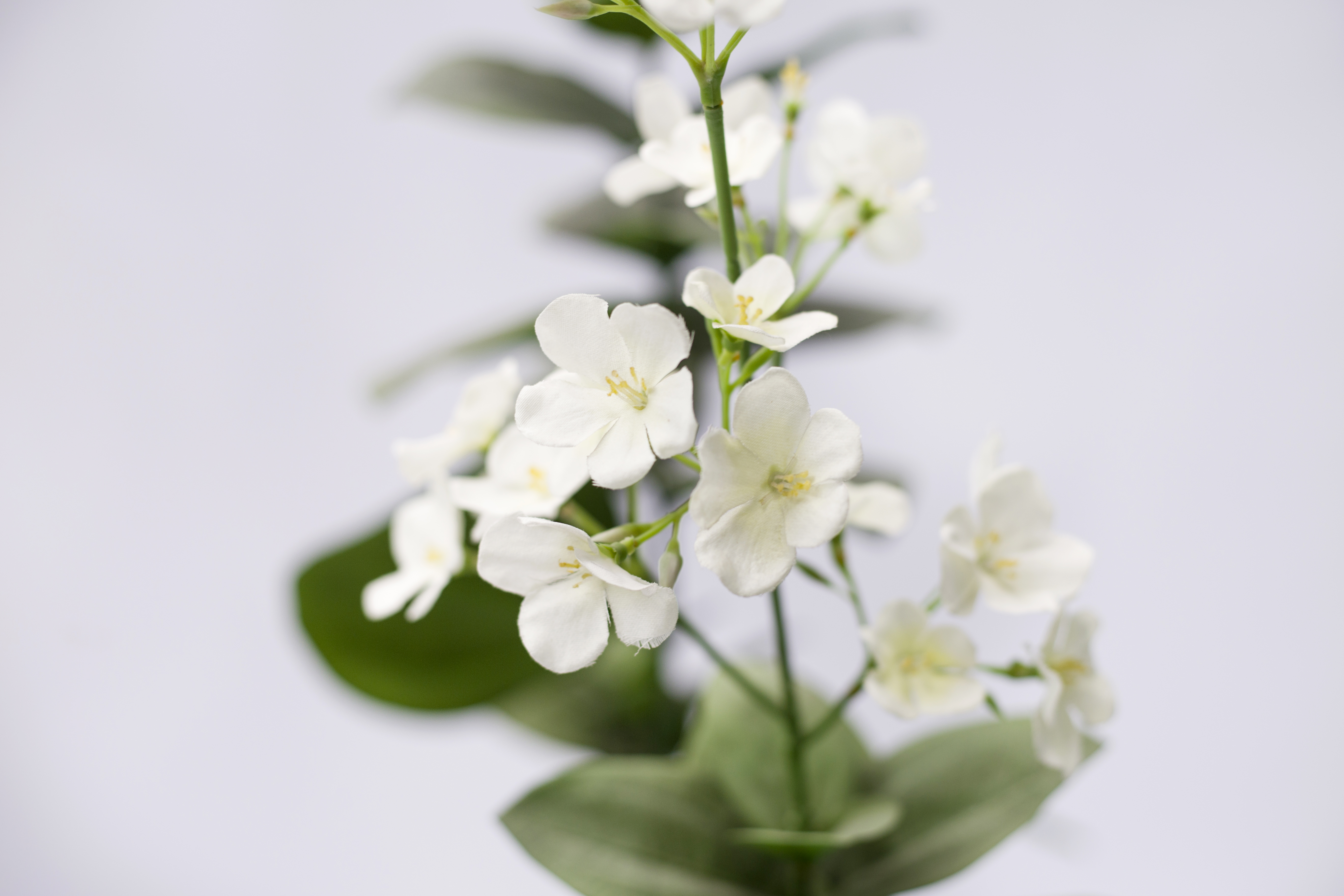 42cm Spring Blossom