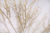 135cm White Plant