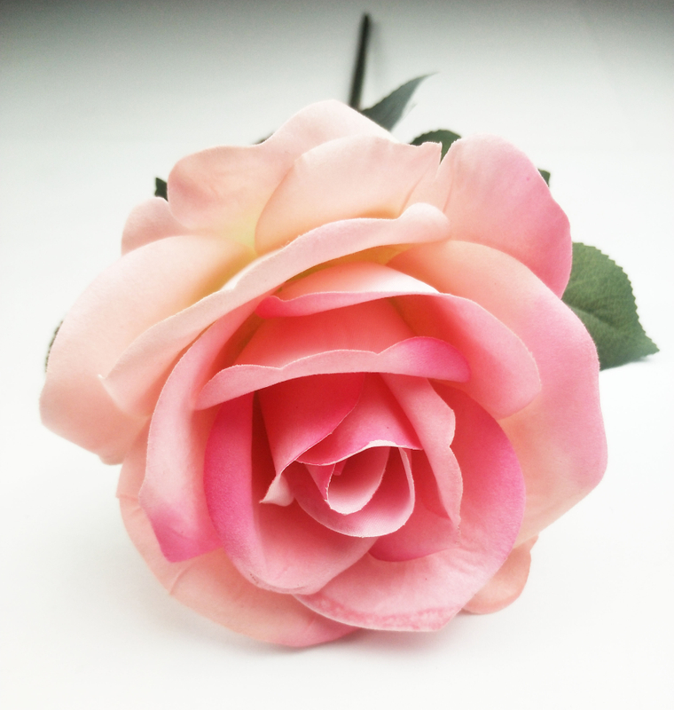 Great Circle Rose