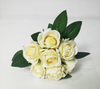 Miniature Bouquet of Roses-7T