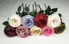 English Rose