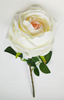 Single Roll Rose