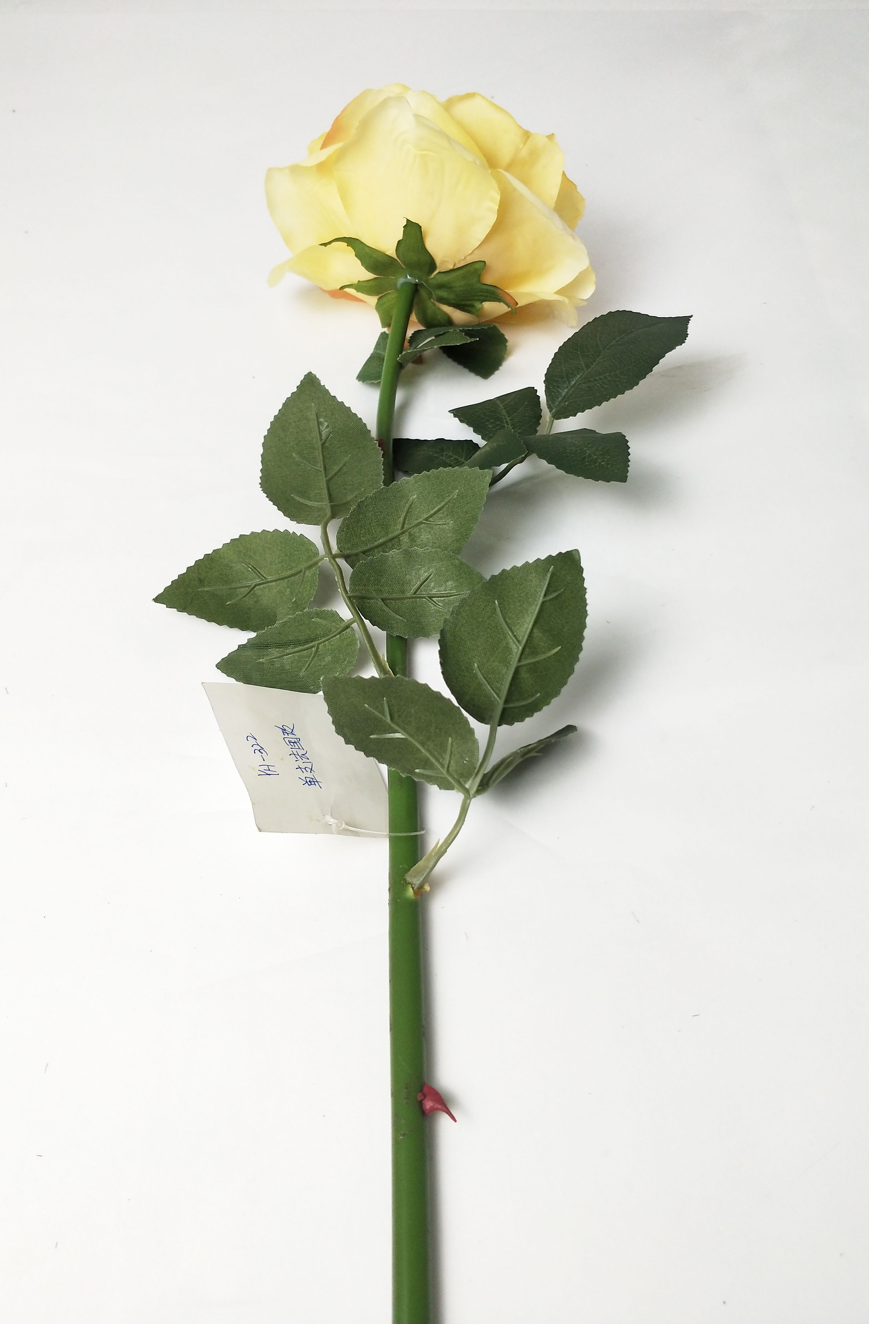 A Single Giant New Rose