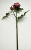 Multilayer Rose-2T