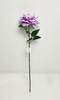 Single branch Chinese rose