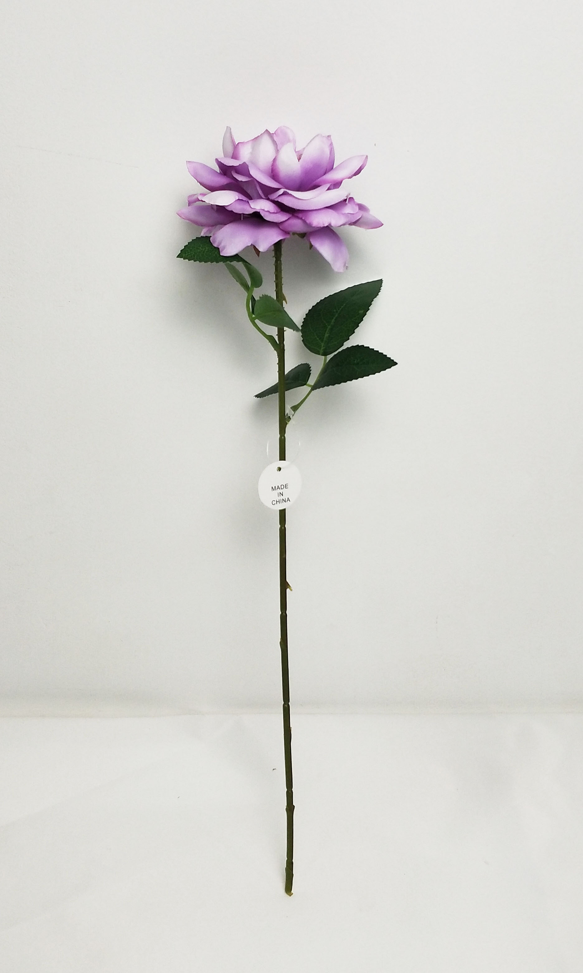 Single branch Chinese rose