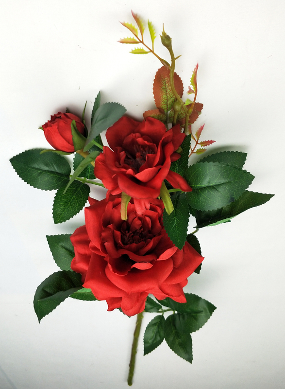 Chinese rose-3T
