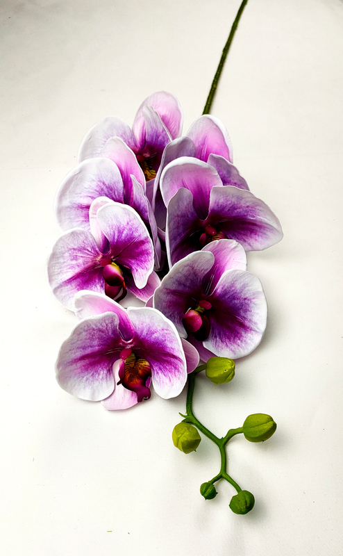 Big orchid-7T