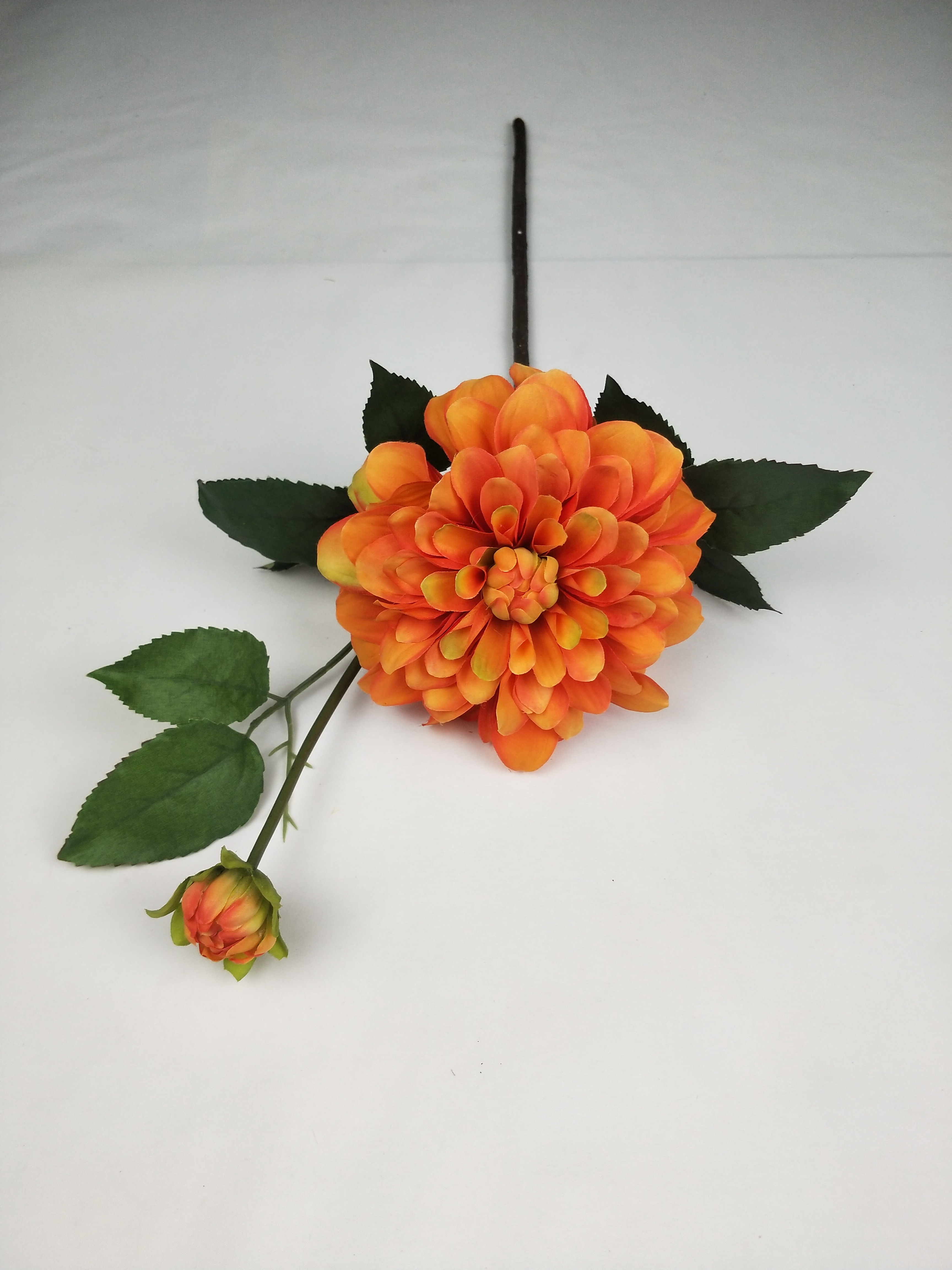 West Lotus-2T