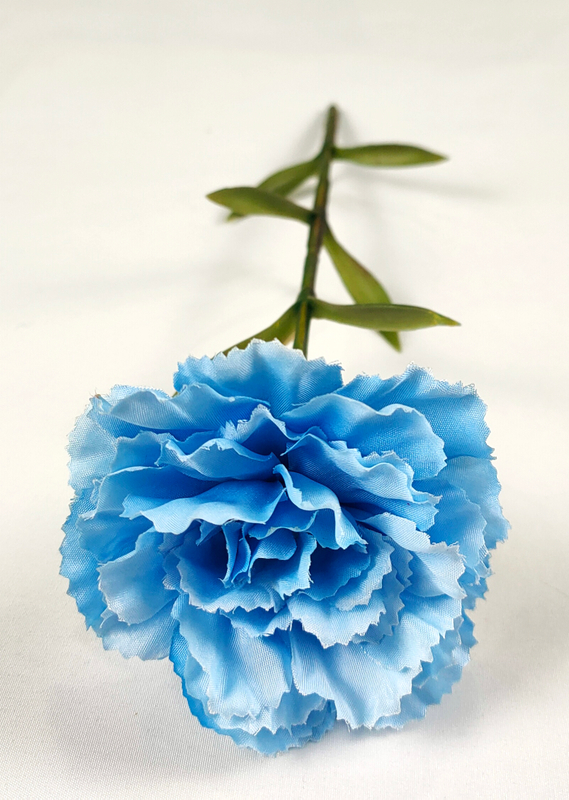 Carnation