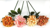 Small single chrysanthemum peony