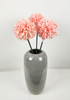 Chrysanthemum ball