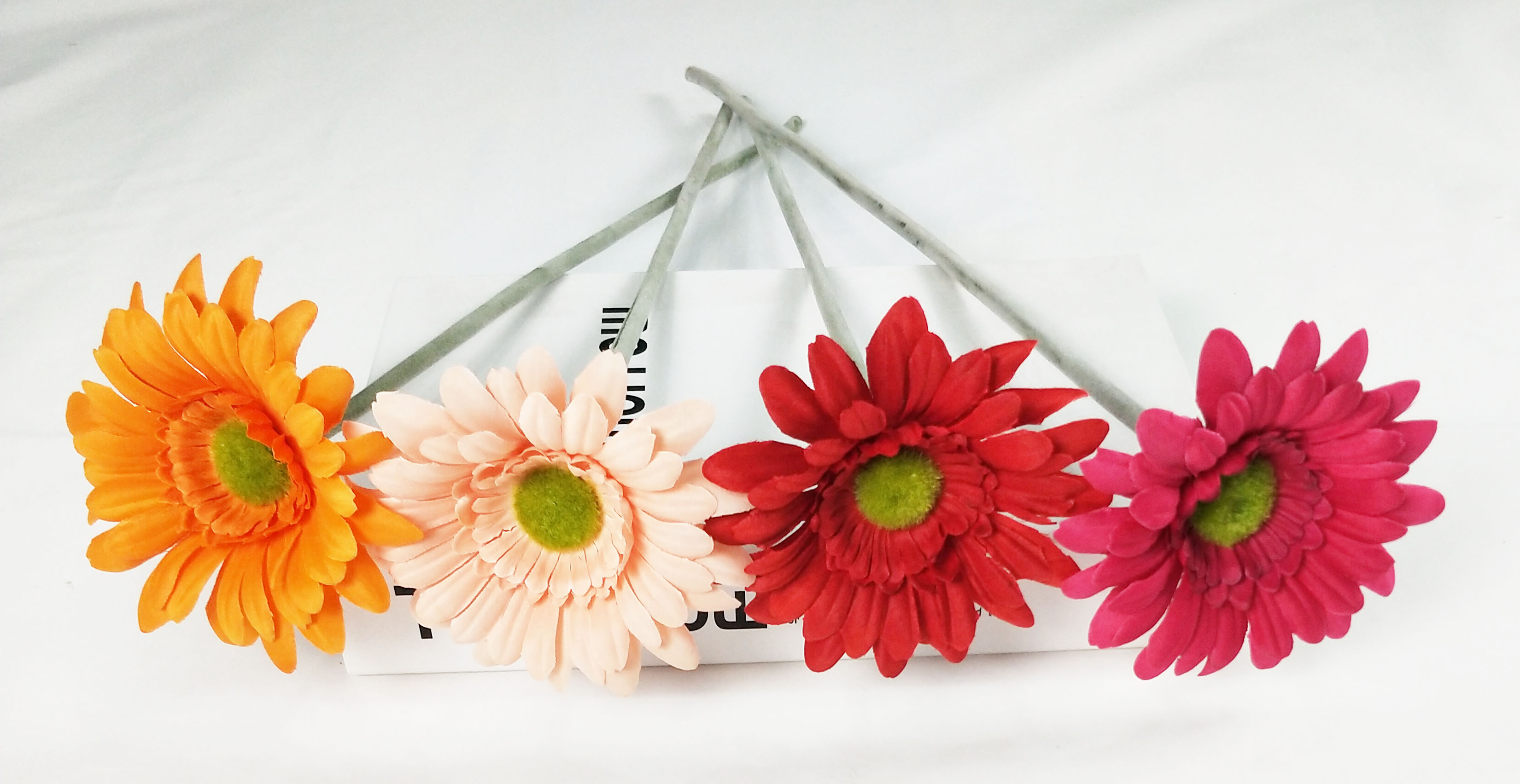 Single gerbera