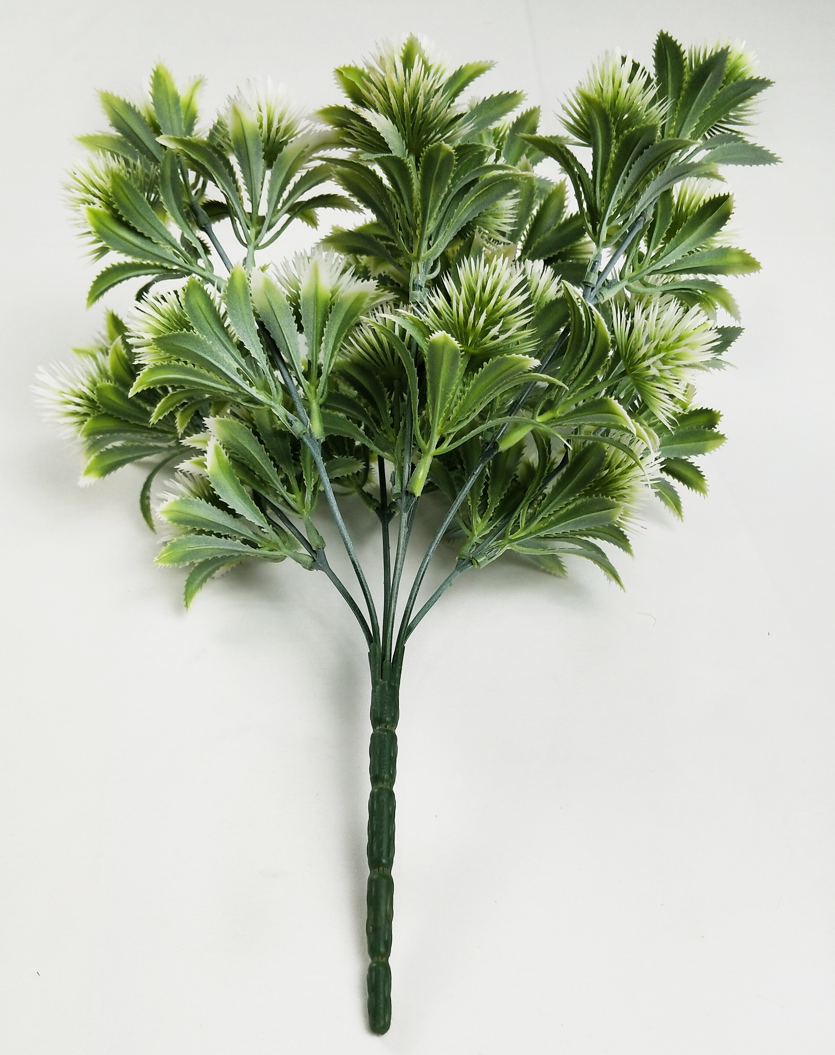 Pine