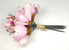 Bunch of 6 magnolia flowers