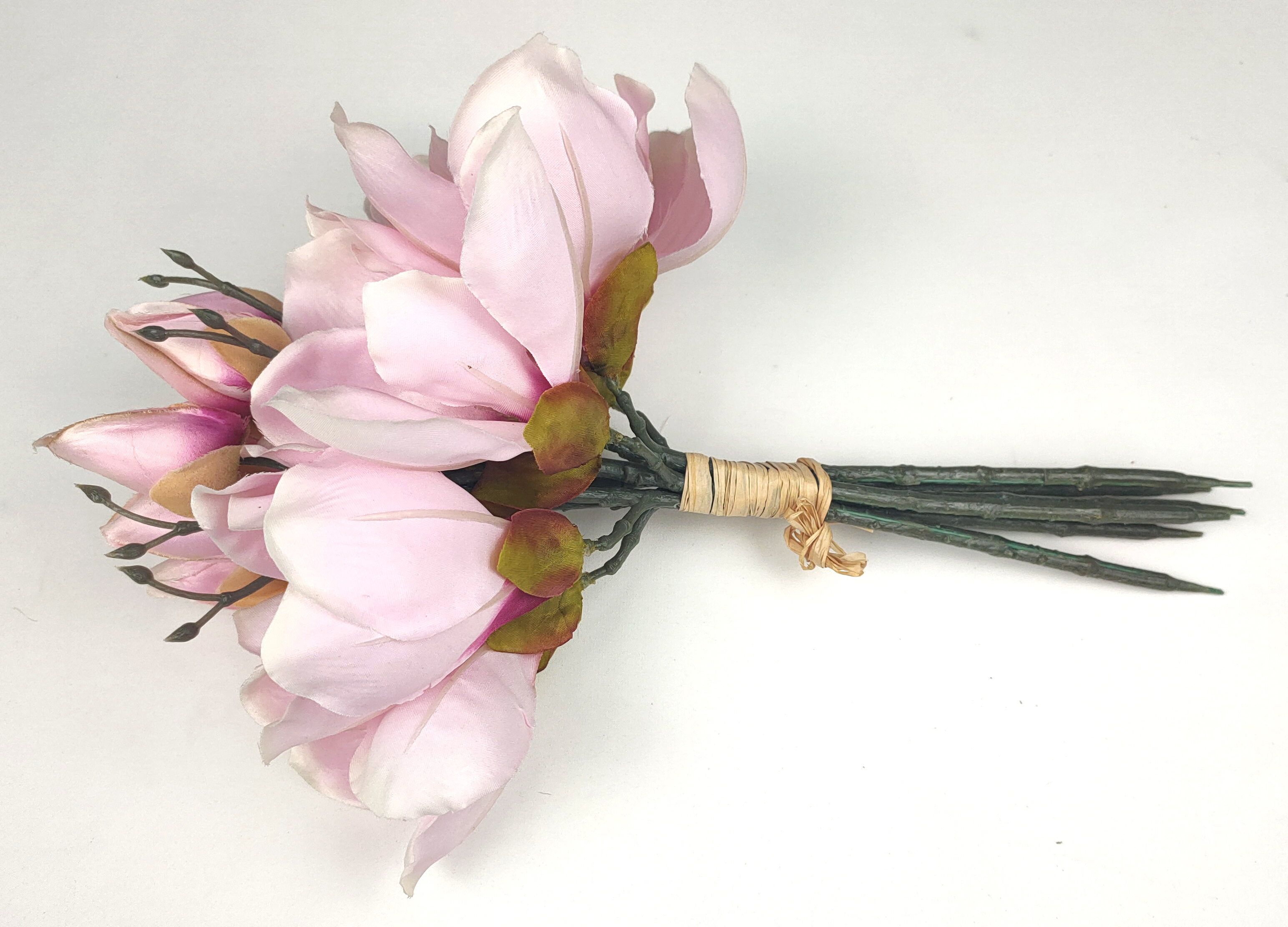 Bunch of 6 magnolia flowers