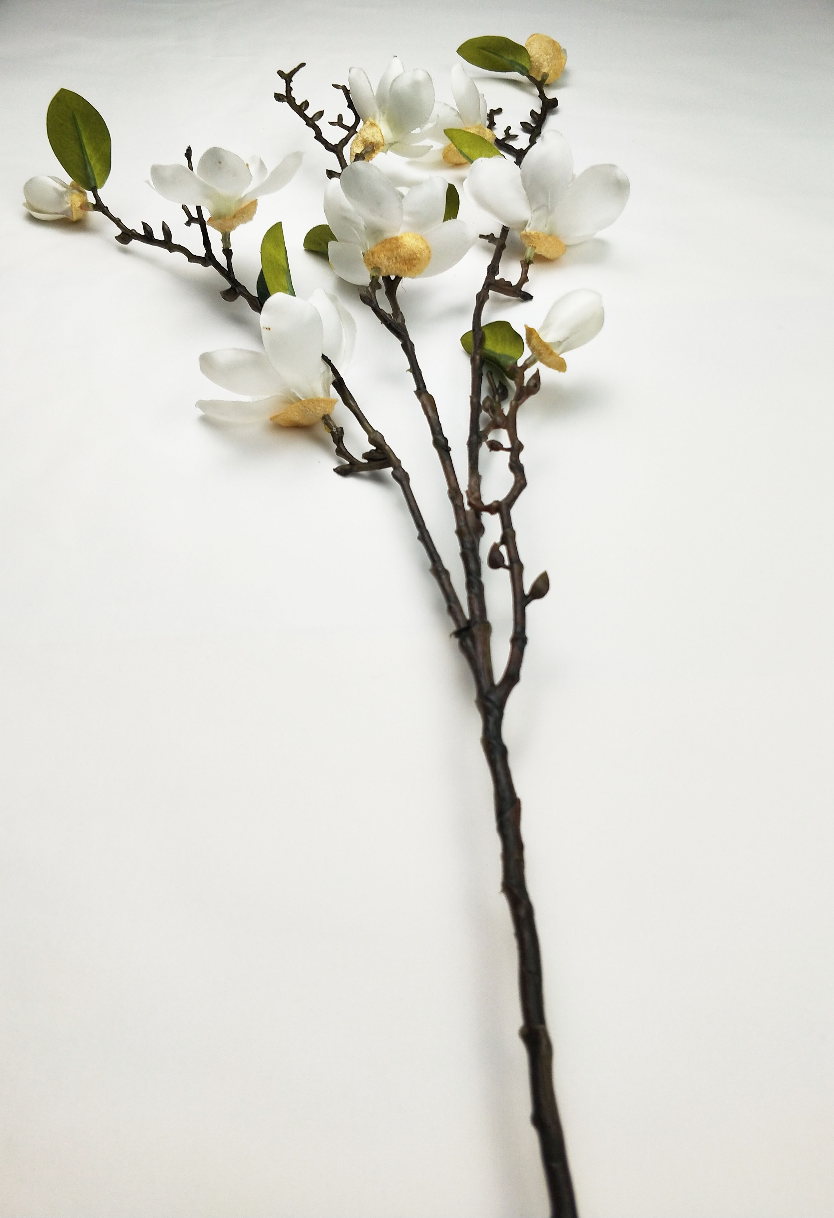 4 Forks small magnolia