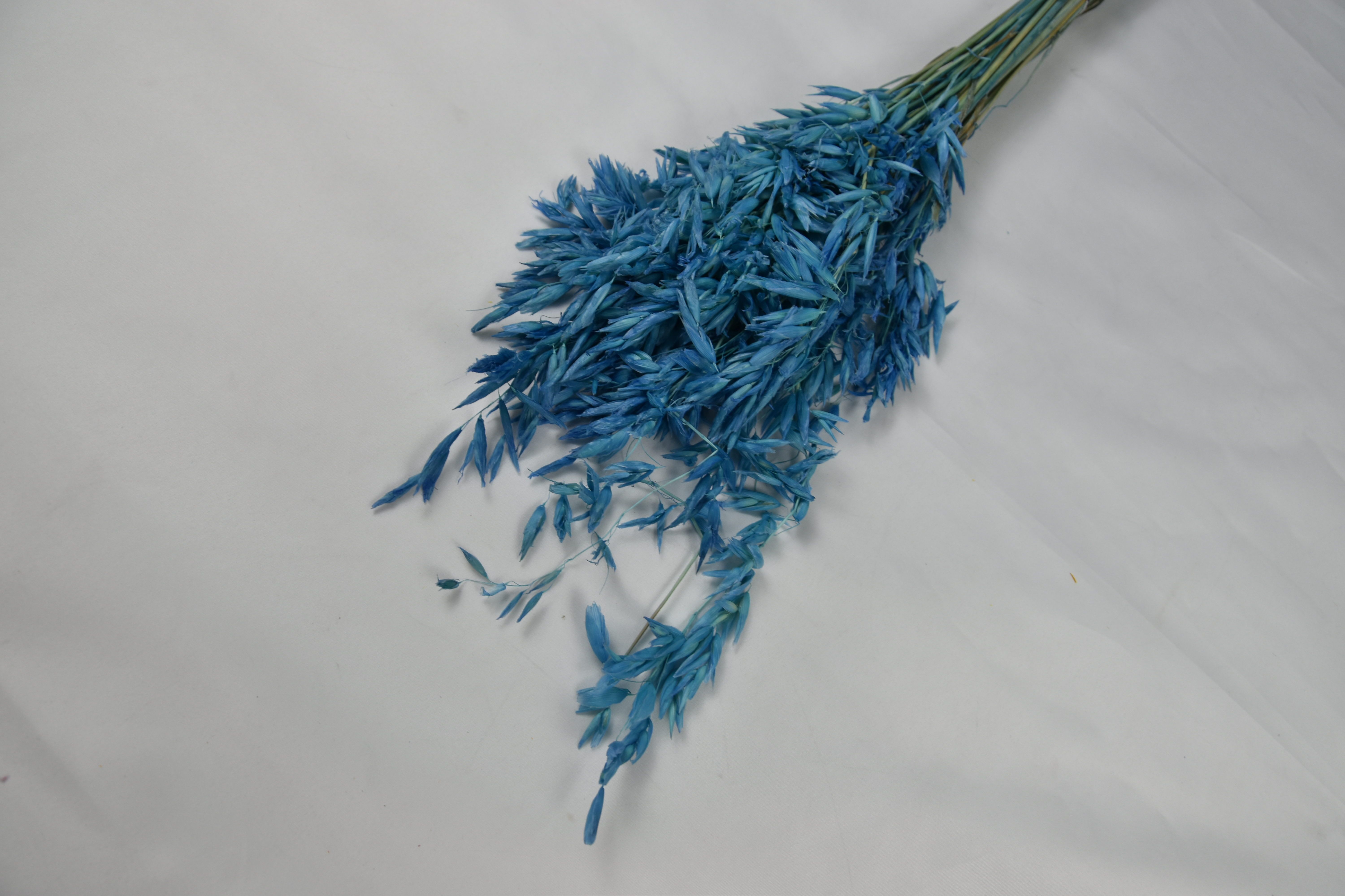 Oat