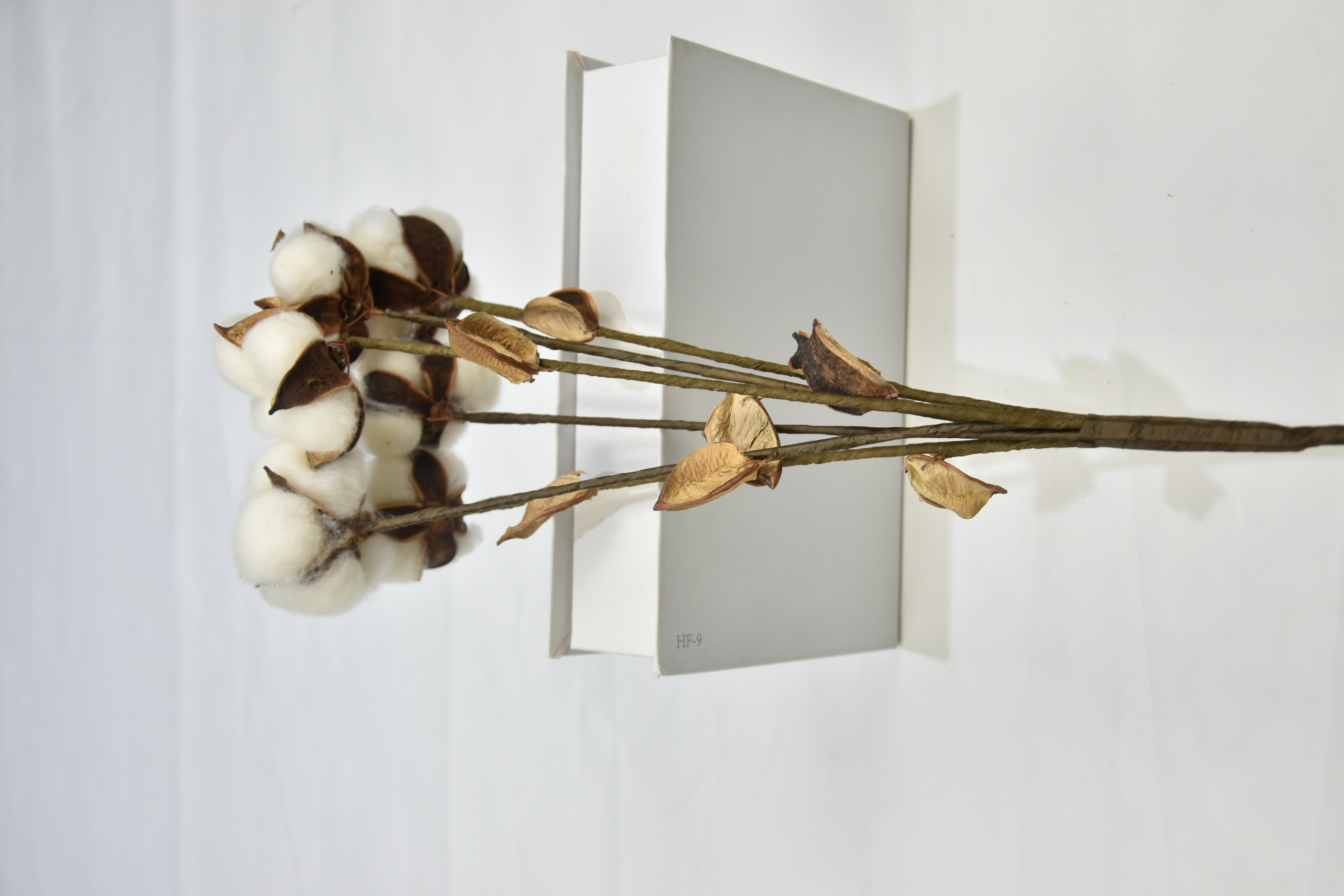 6T-Cotton（Single stalk）