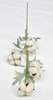 4T-Cotton