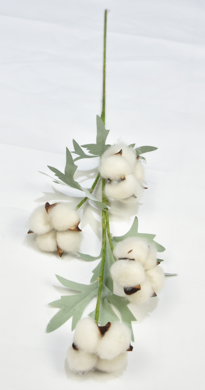 4T-Cotton