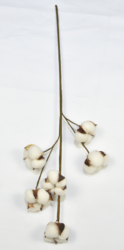 6T-Cotton
