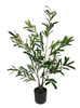 90cm Olive