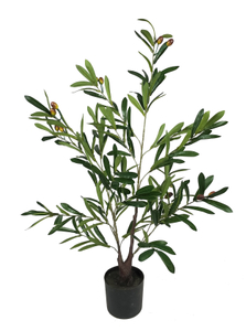90cm Olive