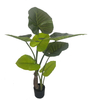 120cm Giant Taro