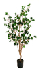 140cm Canterbury Bell