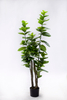 145cm Spring Blossom