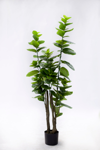 145cm Spring Blossom