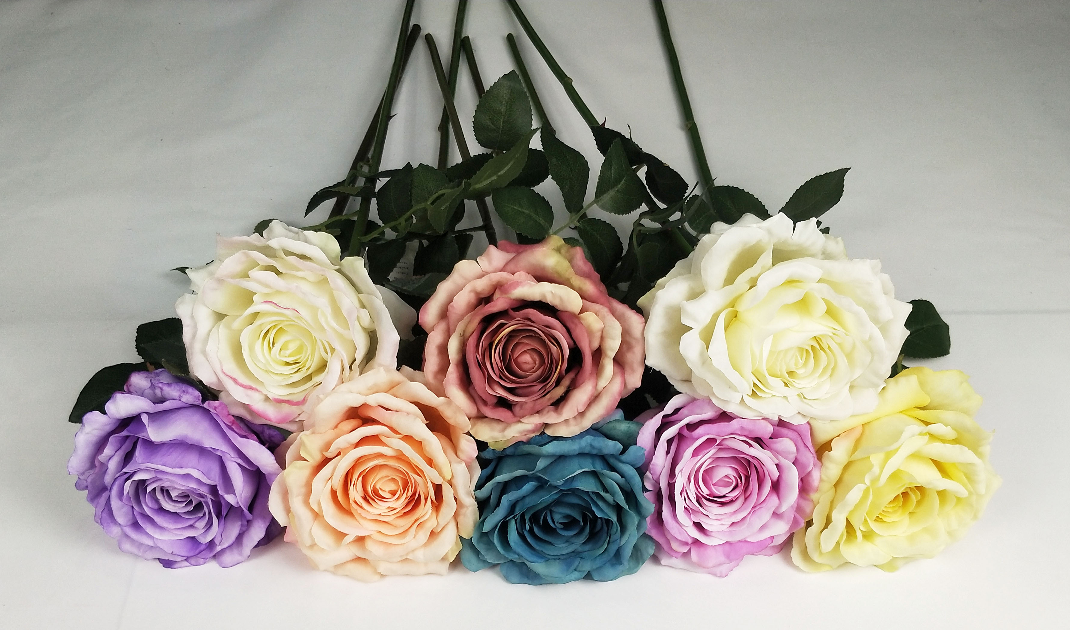 Riches No. 2 Rose