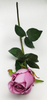 Rose Bud of Single Lover