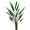 300cm Giant Bird of Paradise