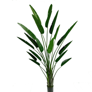 300cm Giant Bird of Paradise