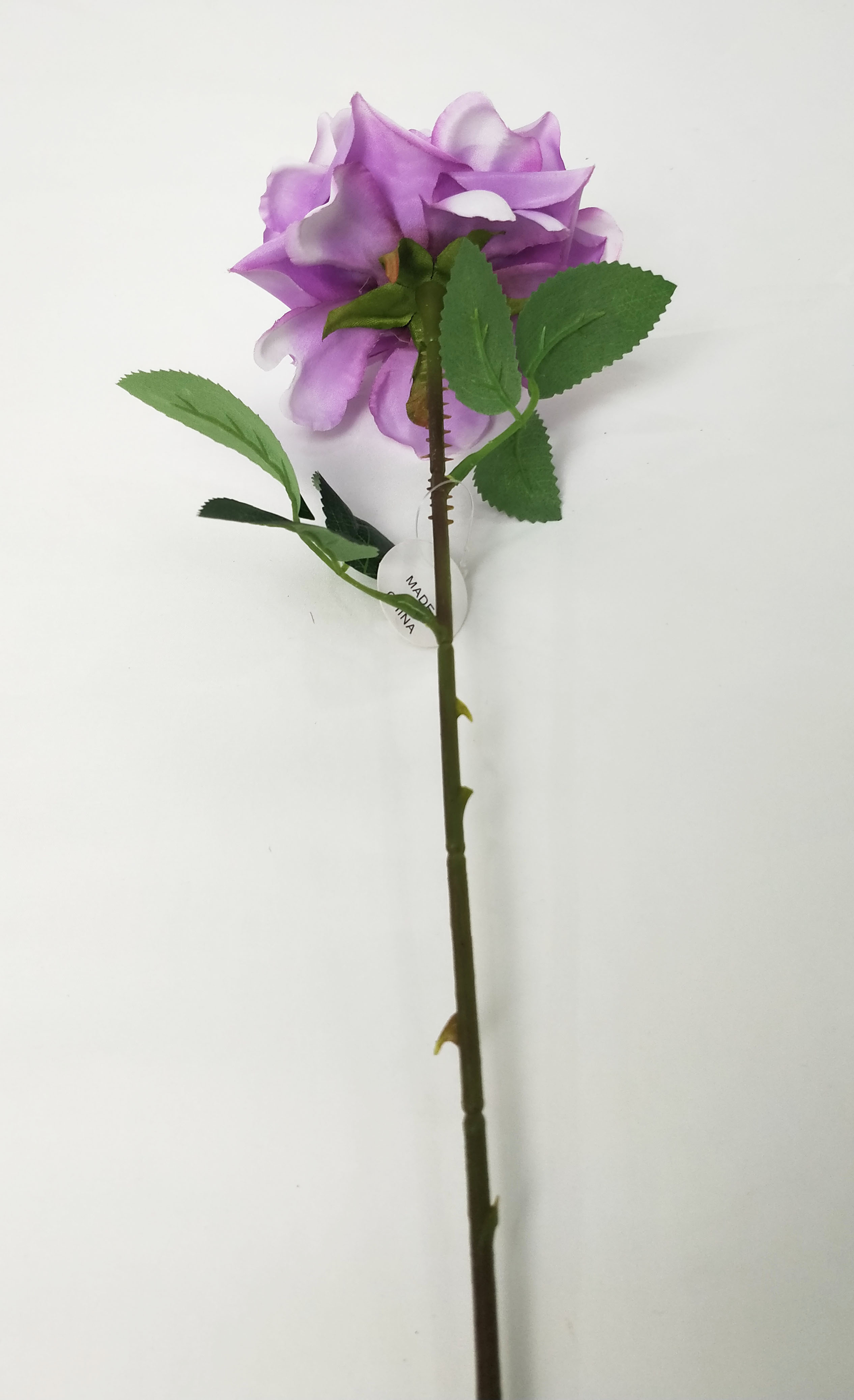 Single branch Chinese rose