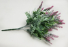 Purple perilla