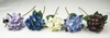 Small single hydrangea